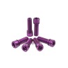 VIS DE POTENCE SHADOW HOLLOW NOIR (X6)